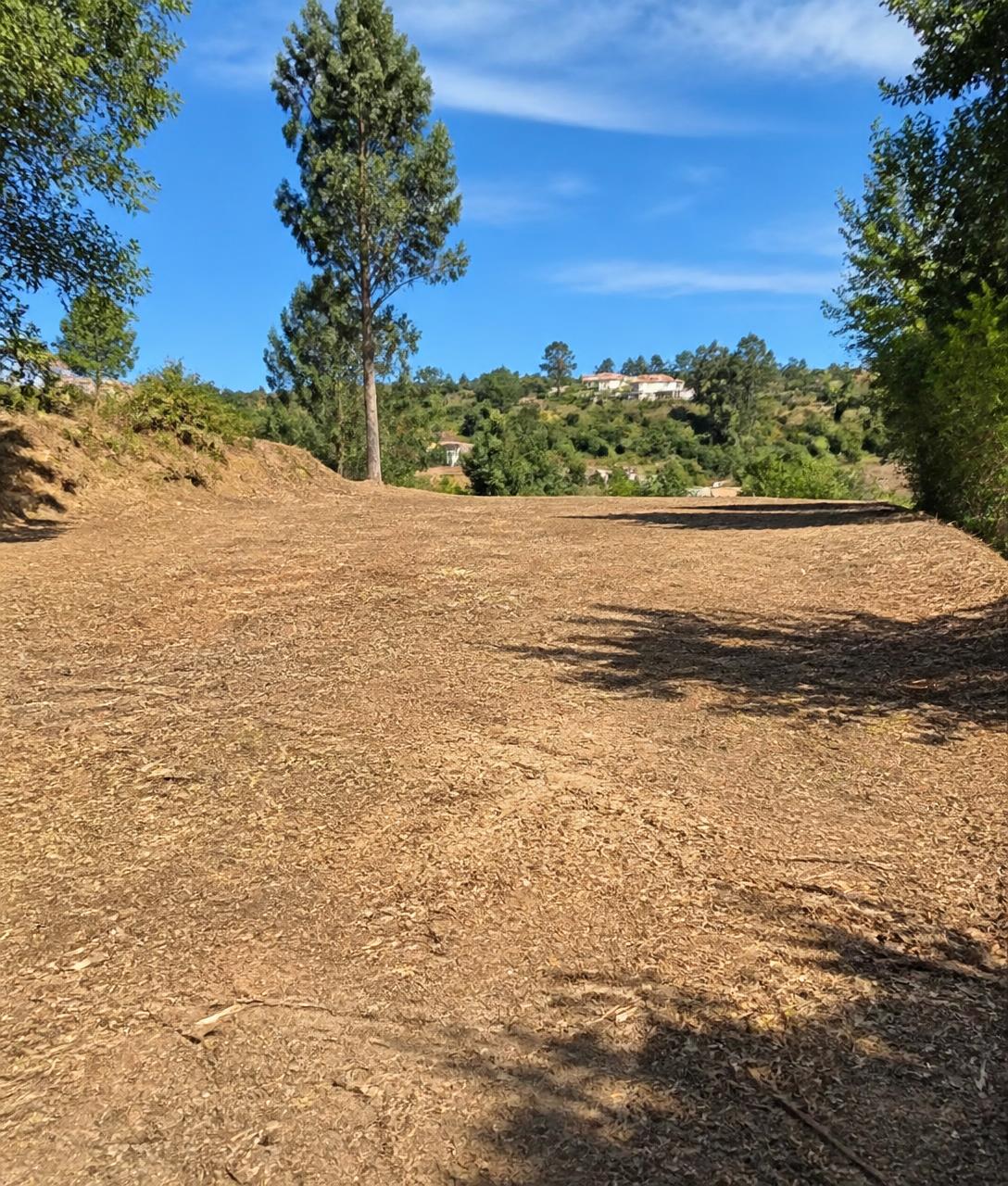 Terreno depois da intervenção da TERRAMAX, limpo e cuidado